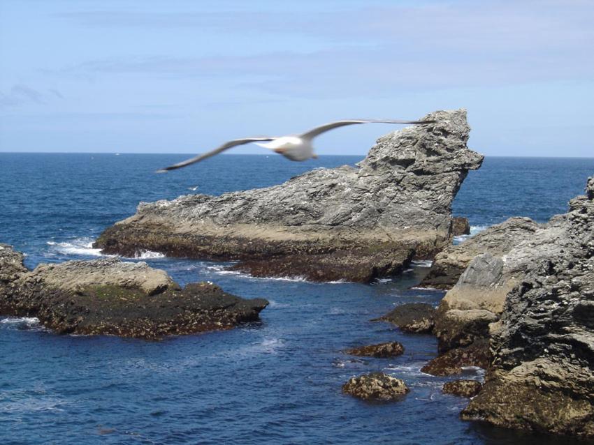 Ty Dreux Entre Terre Et Mer Saint-Thegonnec Loc-Eguiner ภายนอก รูปภาพ